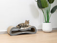 Load image into Gallery viewer, Nookaroo Agatha Infinity lounge scratcher against a white wall, cat resting on top beside a plant