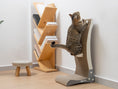Load image into Gallery viewer, Tabby cat climbing the Nookaroo Bennu vertical scratcher next to a wooden shelf in the living room