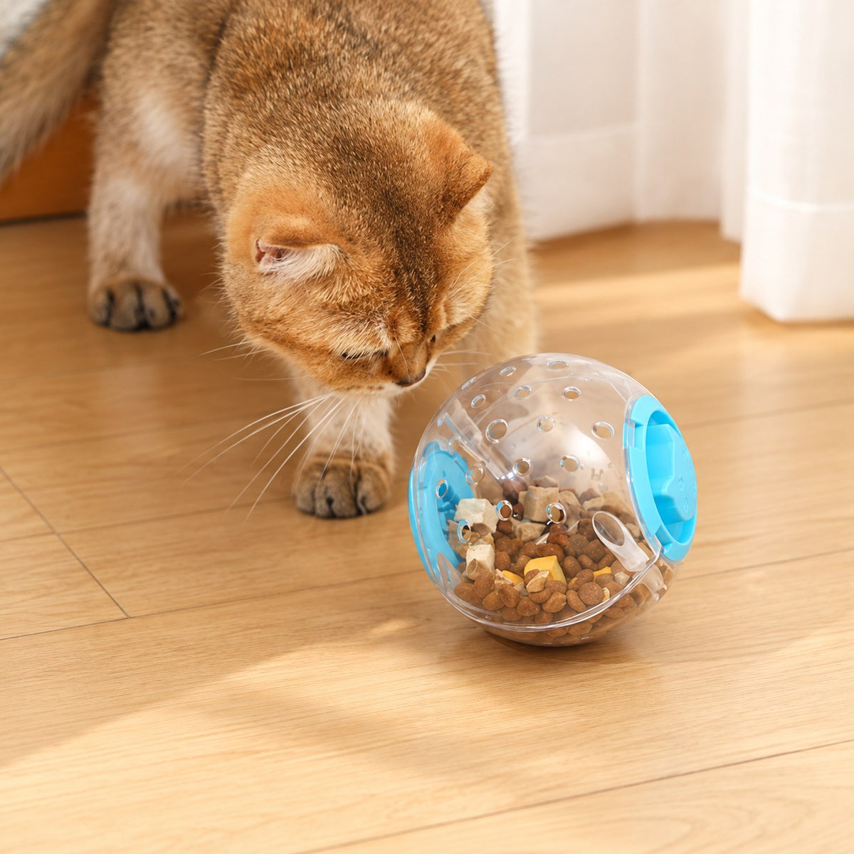 Cat investigating the blue treat ball; treats not included