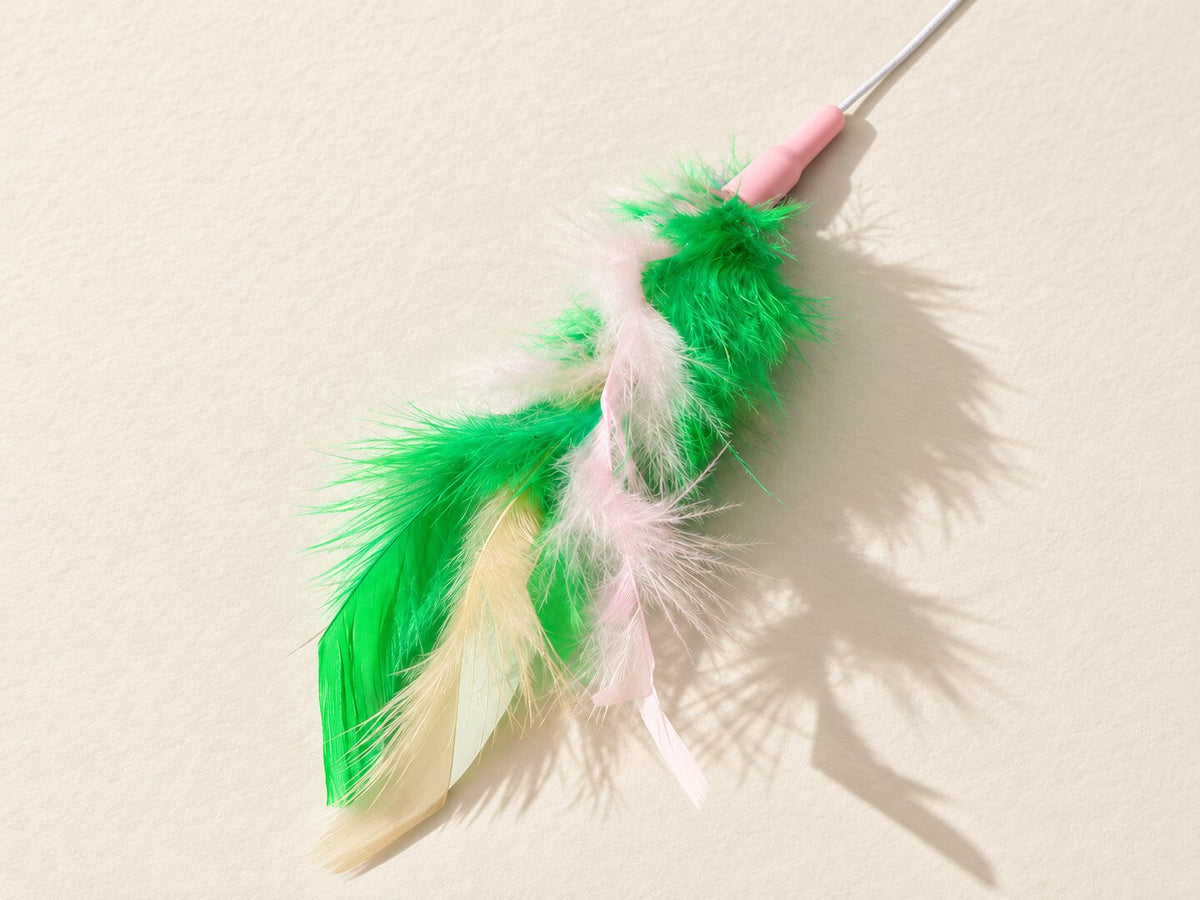 Green and cream feathers, pink connector and cord of the Daily Chase teaser — styled supplier image