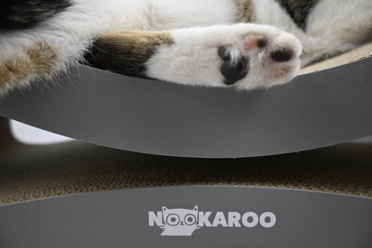 What Cats Love and How to Make Them the Happiest Felines on Earth