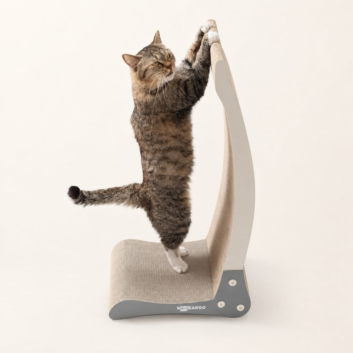 Tabby cat stretching upward and scratching the tall Nookaroo Bennu scratcher