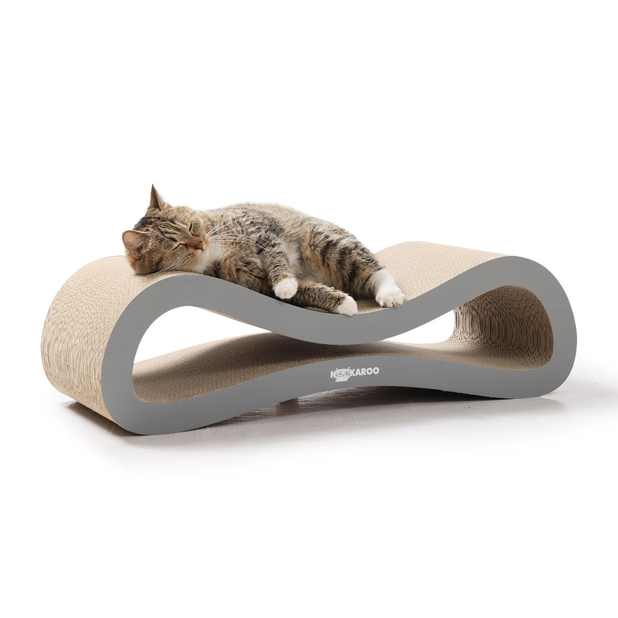 Tabby cat curled up asleep on the Nookaroo Agatha Infinity lounge scratcher