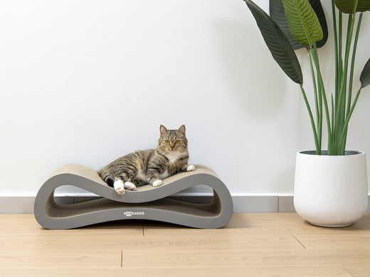 Nookaroo Agatha Infinity lounge scratcher in a modern living room, cat lying beside a plant
