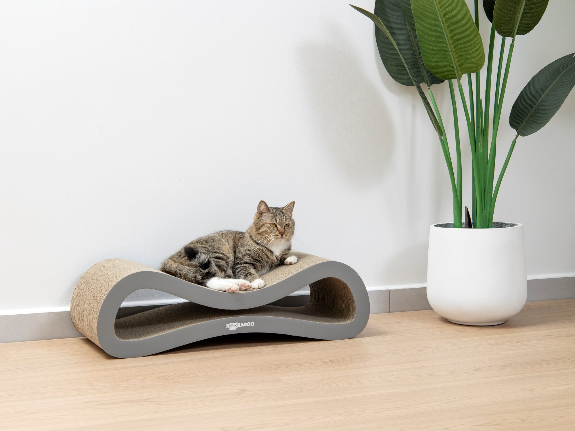 Nookaroo Agatha Infinity lounge scratcher against a white wall, cat resting on top beside a plant