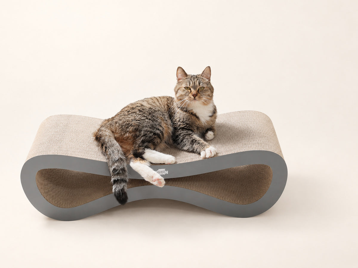 Tabby cat lying on the Nookaroo Agatha infinity lounge scratcher, three-quarter view, on a warm cream background