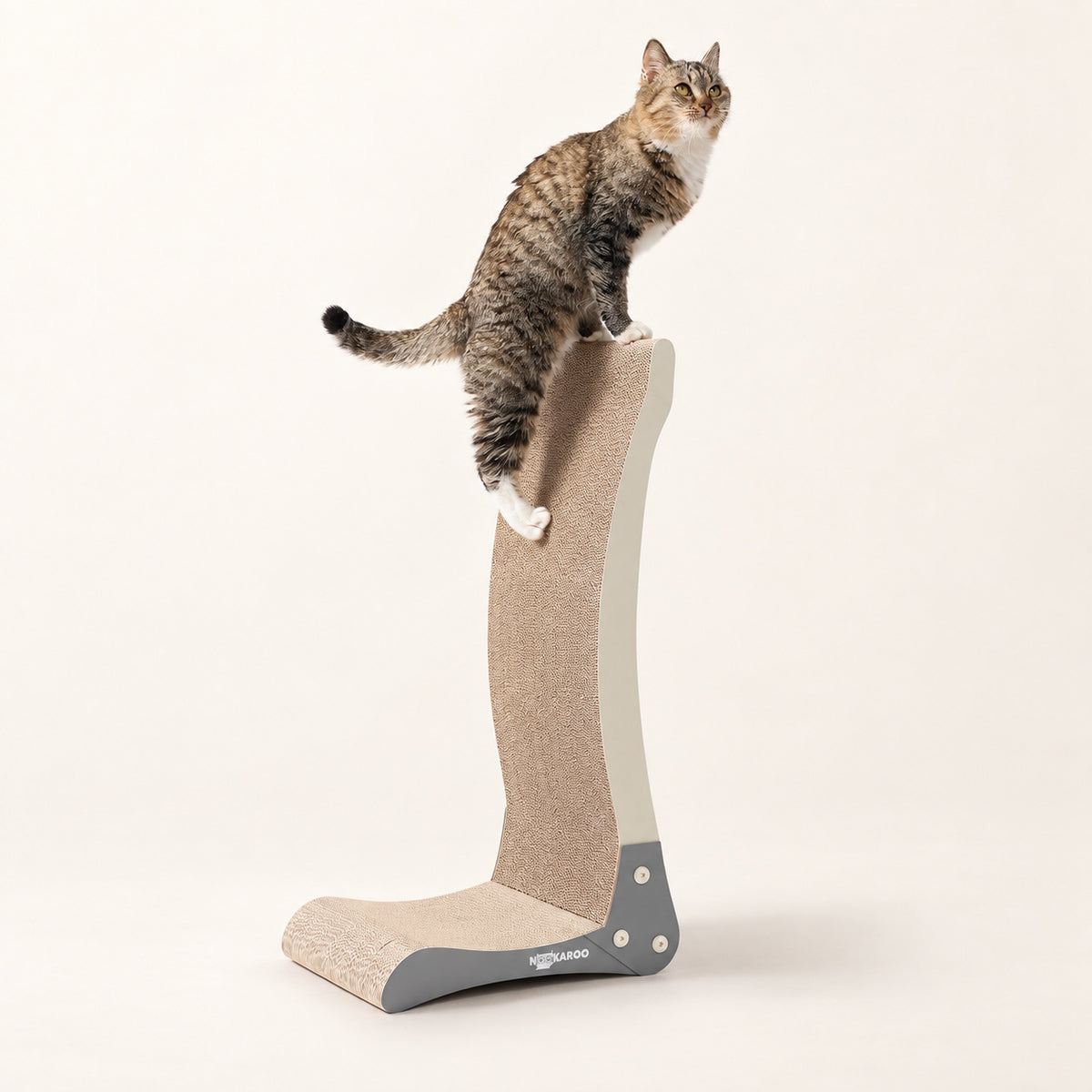 Tabby cat climbing to the top of the Nookaroo Bennu tall vertical cat scratcher on a warm cream background
