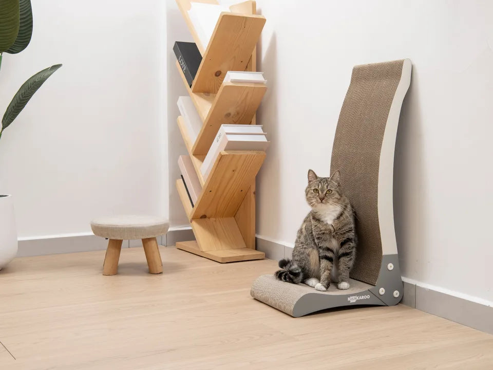 Tabby cat sitting beside the tall Nookaroo Bennu scratcher in a bright modern home