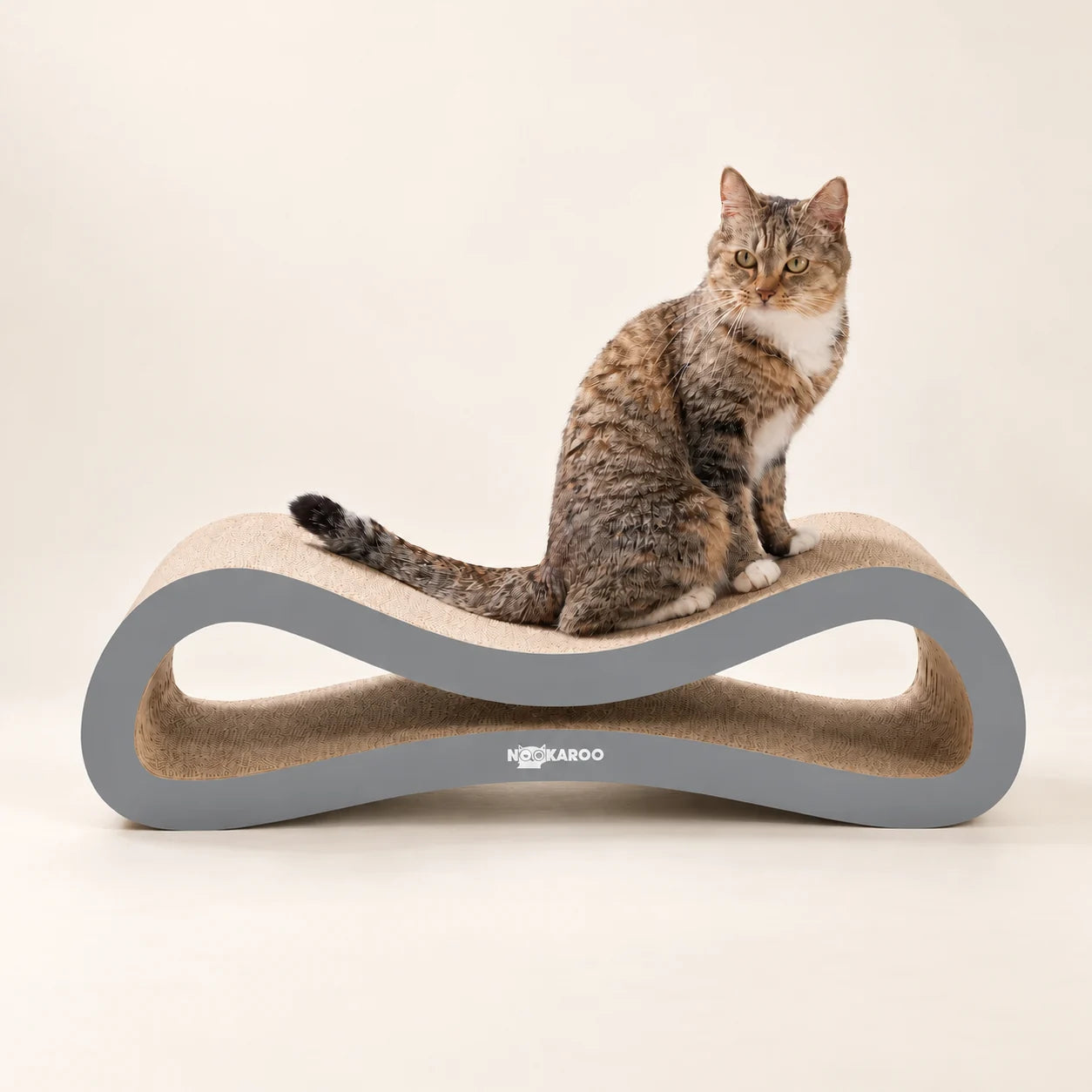 A cat sitting on the low curved Agatha scratcher