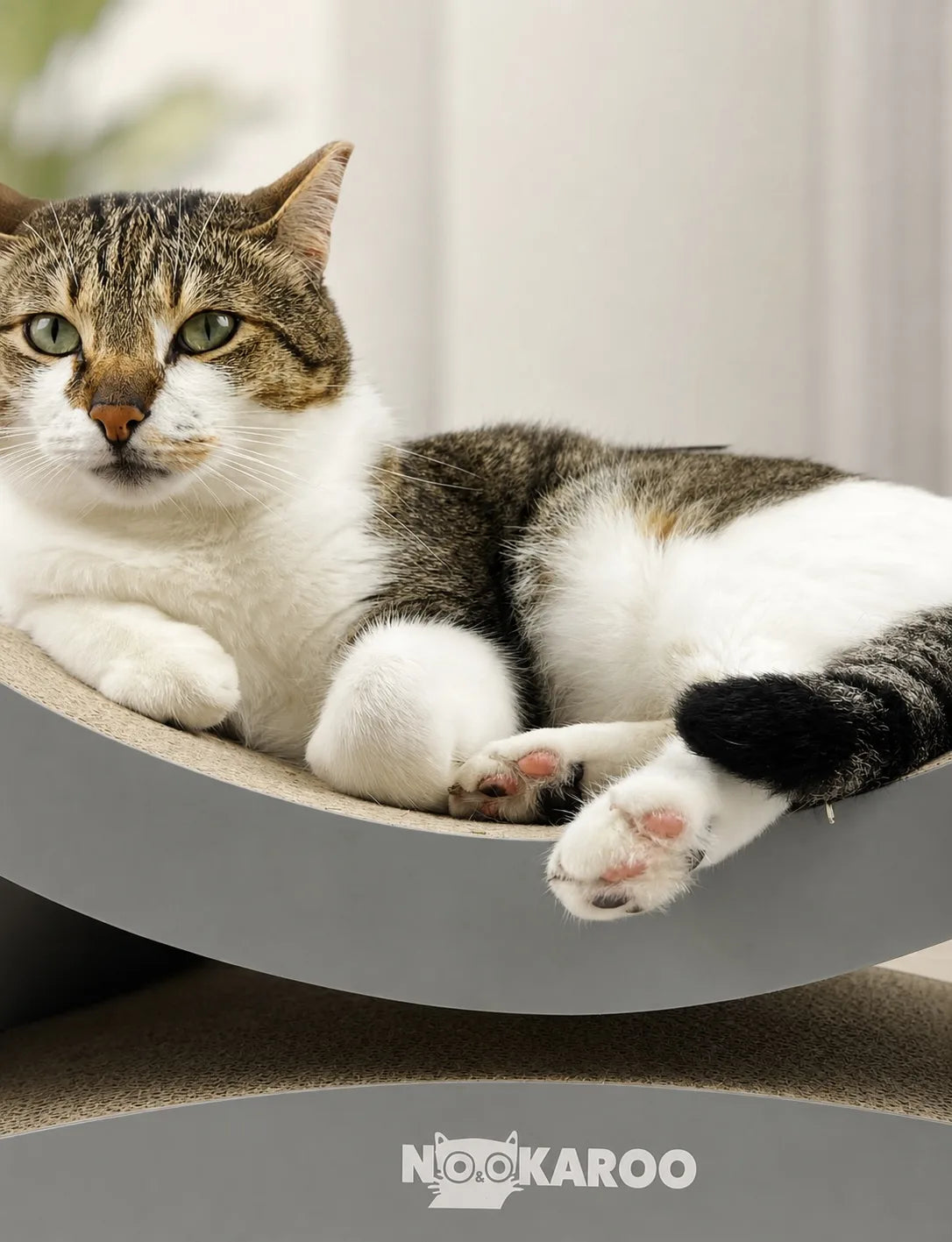 Cat lounging on an Agatha scratcher with the Nookaroo mark visible
