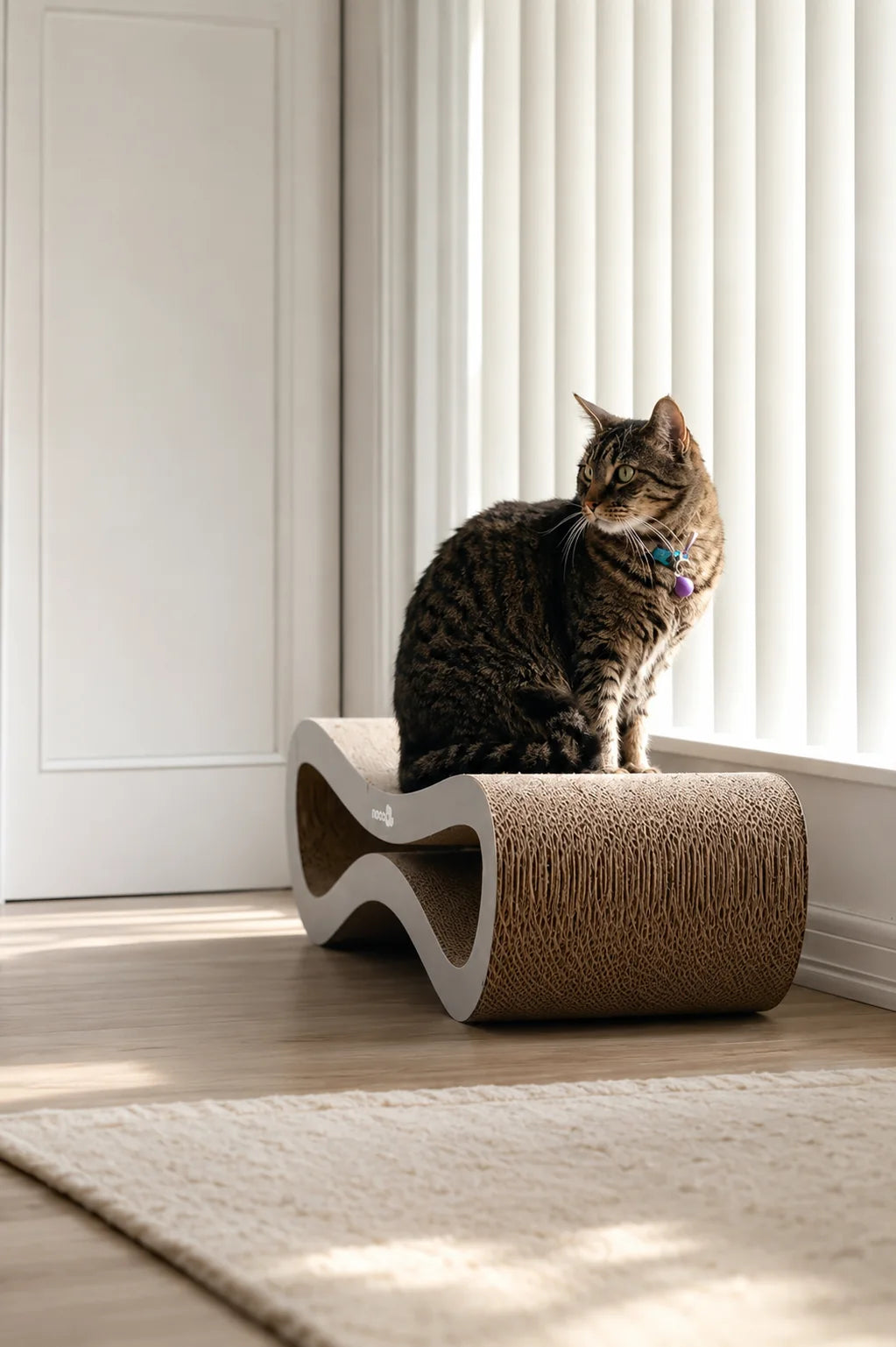 Tabby cat sitting on the sculptural Agatha scratcher beside a bright window