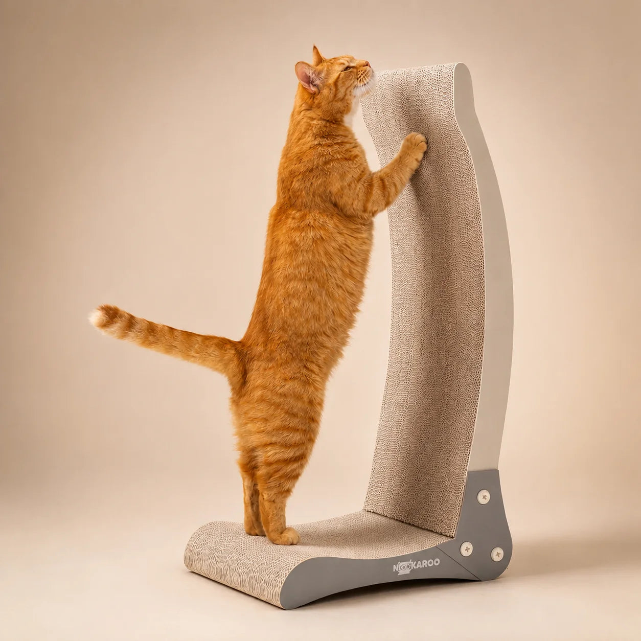 Orange tabby cat stretching upward on the tall Bennu scratcher