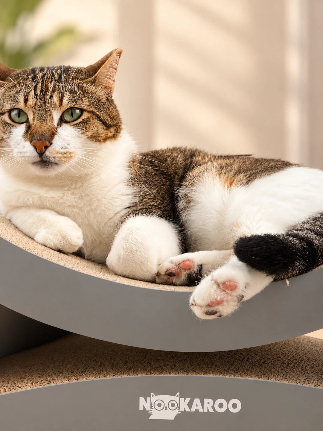 Close-up of a tabby-and-white cat relaxing on the Agatha scratcher with its paws stretched toward the camera