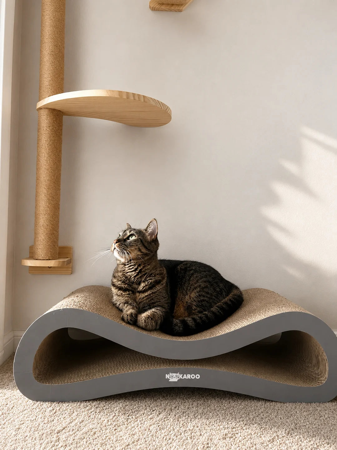 Tabby cat resting on an Agatha scratcher in a warm sunlit corner at home