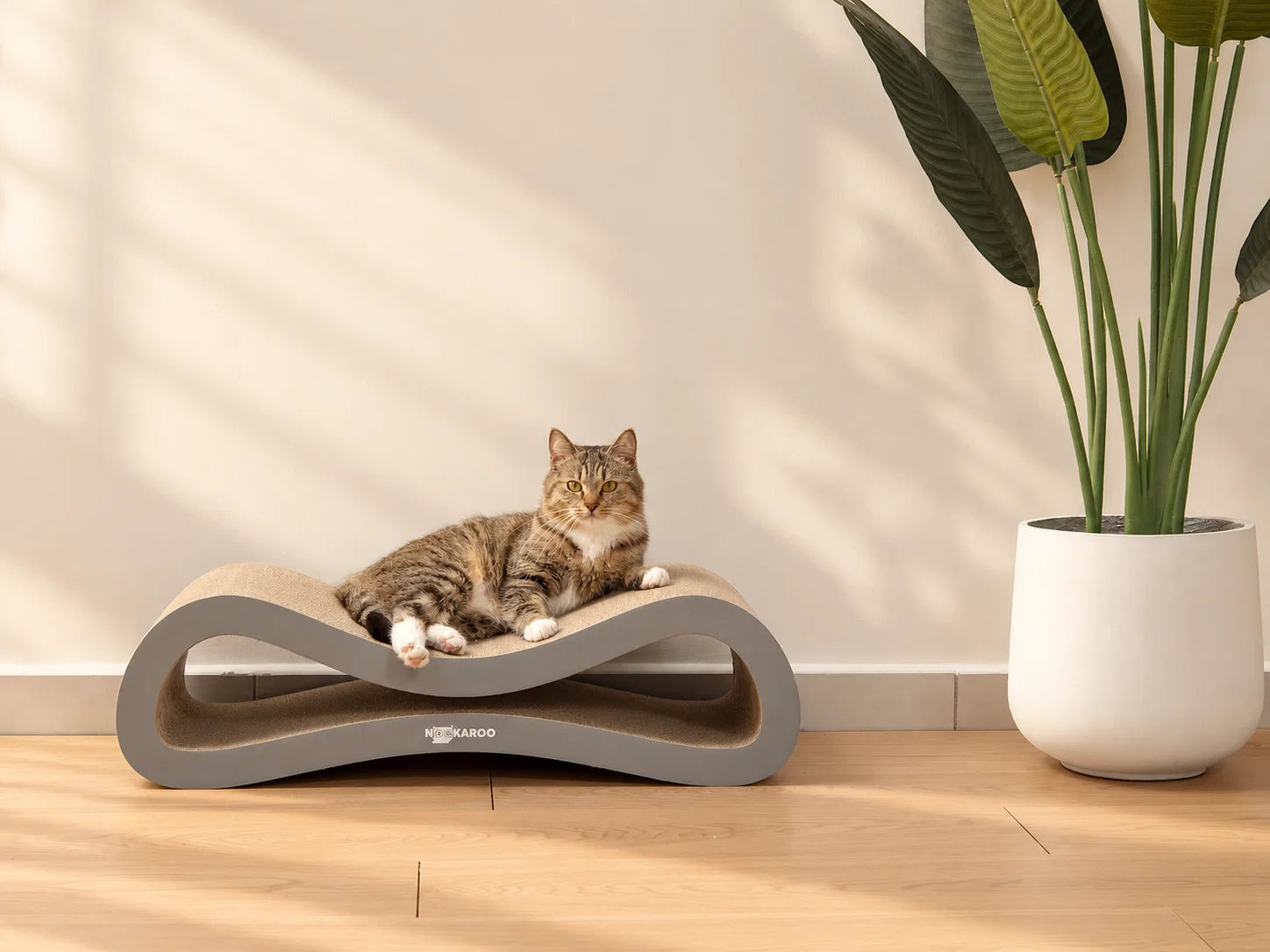 Tabby cat lounging on the curved Agatha scratcher beside a leafy plant