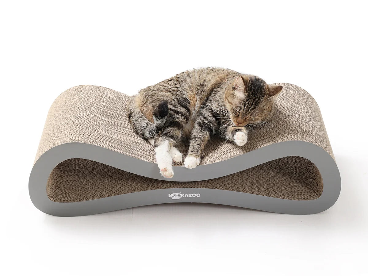 Tabby cat sleeping on the curved Agatha scratcher