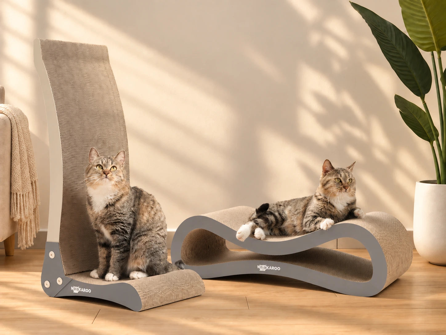 Two tabby cats with the Bennu vertical scratcher and Agatha lounge scratcher in a warm sunlit room